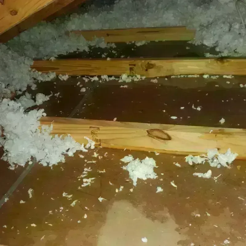 Attic Water Damage in New Hartford Center, CT